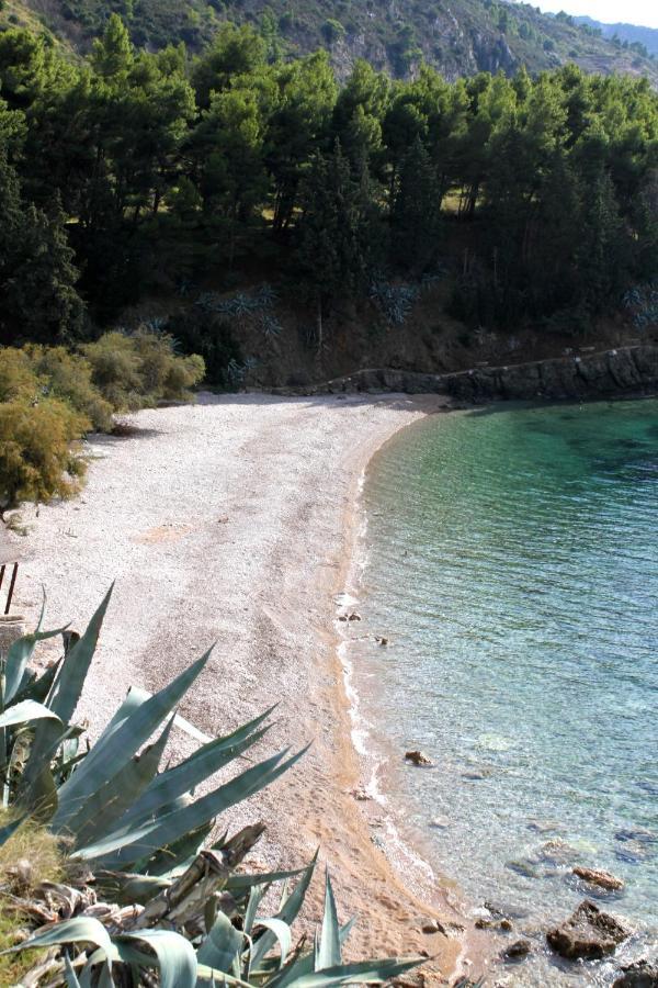 Apartments By The Sea Komiza, Vis - 8533 Exteriér fotografie